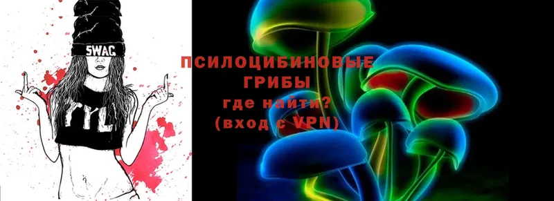 купить закладку  Солигалич  Псилоцибиновые грибы Psilocybine cubensis 